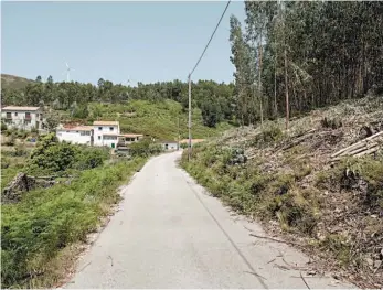  ?? ?? Em Ortiga, Castanheir­a de Pera, limparam-se as bermas das estradas pela primeira vez desde os incêndios de 2017