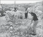  ?? STUART FRANKLIN/ GETTY IMAGES ?? Victor Dubuisson chips from a cactus on the 20th hole, leading to a miracle par at the Match Play.