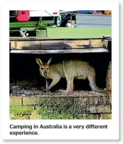  ??  ?? Camping in Australia is a very different experience.