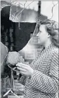  ??  ?? Marcia Biggers holds a rock that was thrown through a window at 4831 N. Damen Ave. in 1940. Milk handled by nonunion drivers was sold at the store.