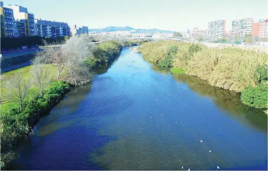  ?? EUROPA PRESS ?? Imagen del parque fluvial del río Besòs