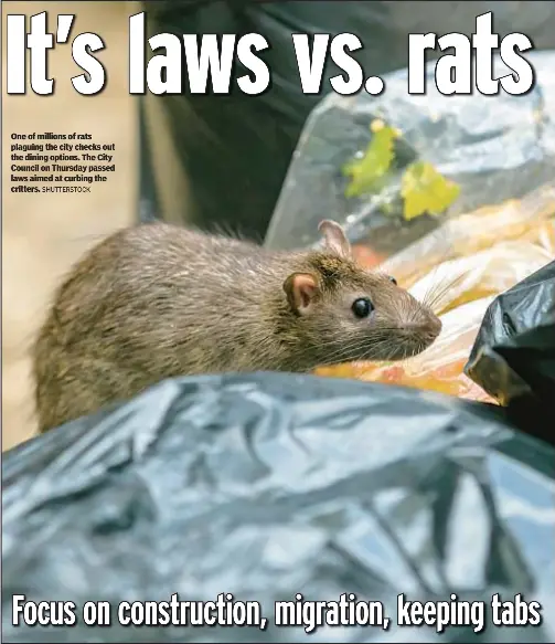 NEW LAWS VS. RATS - PressReader