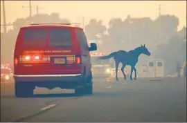  ?? Al Seib Los Angeles Times ?? A HORSE runs free Wednesday as the Easy fire burns toward Simi Valley neighborho­ods. In the Santa Rosa Valley, volunteers gathered to evacuate the animals.