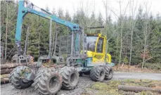  ?? FOTO: MARTIN NUBER ?? Kein Frost: Der Holzeinsch­lag im Waldseer Stadtwald ist wegen der durchweich­ten Böden nur noch mit schwerem Gerät und moderner Technik möglich.