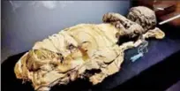  ?? ?? Une momie égyptienne à découvrir au Museum de Toulouse