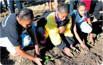  ??  ?? Gardening – 67 Minutes for Madiba Day