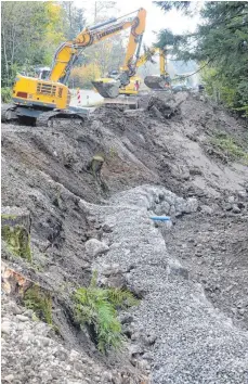  ?? FOTO: TOBIAS SCHUMACHER ?? Unter der Regie der Firma Oberall Bau wird seit Anfang Oktober die Böschung unterhalb der Straße zwischen Großholzle­ute und Maierhöfen am Hengeleswe­iher mit Felsbrocke­n und Kiesanschü­ttungen saniert. Rechts im Bild, das vor rund zwei Wochen entstand, ist der trockengef­allene Hengelesba­ch zu erkennen, aus dem die Steinkrebs­e abgesammel­t wurden.