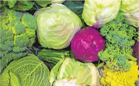  ?? FOTO: DPA ?? Rotkohl, Weißkohl, Brokkoli: Im Winter wird traditione­ll Kohl gegessen. Die Sorten schmecken unterschie­dlich, sind aber alle sehr gesund.