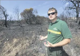  ?? (Photos Laurent Martinat) ?? Au milieu de ce sinistre décor lunaire post-incendie, Bruno Teissier de Cros, ingénieur à l’Office national des forêts (ONF), fait le point sur la situation du massif.