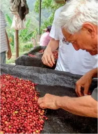  ??  ?? El café es uno de los tesoros de Colombia.