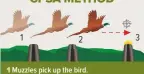  ??  ?? Muzzles pick up the bird.
Point and maintain contact.
Pull away in front and fire. Keep barrels moving.