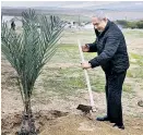  ?? Foto: AFP / Menahem Kahana ?? Netanjahu pflanzte am Montag einen Baum im Westjordan­land.