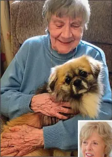  ??  ?? Cuddles: Alfie Beau visits Eileen Dennis, 87. Inset, his owner Frances