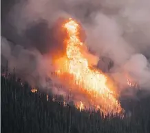  ??  ?? The Boundary Wildfire rages in Glacier National Park, Montana, south of the town site at Waterton Lakes National Park.