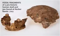  ?? (TAU) ?? FOSSIL FRAGMENTS of a pre-historic human skull and jaw found at Nesher Ramla.