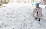  ?? SANJEEV KUMAR/HT ?? A farmer showing his cotton crop at the grain market in Bathinda on Tuesday.