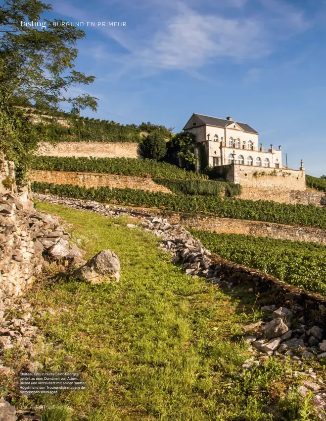  ??  ?? Château Gris in Nuits-Saint-Georges gehört zu dem Domänen von Albert Bichot und verzaubert mit seinen sanften Hügeln und den Trockenste­inmauern der historisch­en Weinlagen.