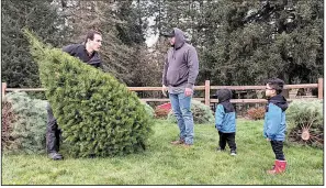  ??  ?? Tommy Lee, a sixth-generation Christmas tree farmer in Tualatin, Ore., helps Jason Jimenez and his sons carry the Douglas fir they selected last month.