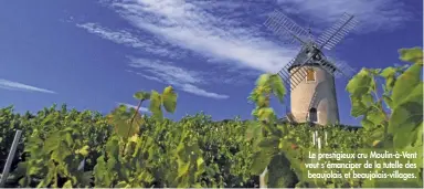  ??  ?? Le prestigieu­x cru Moulin-à-Vent veut s’émanciper de la tutelle des beaujolais et beaujolais-villages.