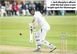  ??  ?? &gt; Jack Murphy’s efforts with the bat were a rare bright spot for Glamorgan