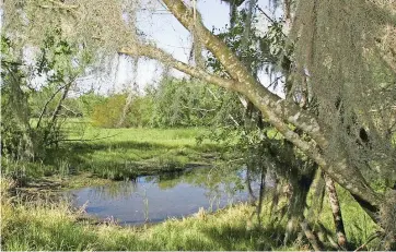  ??  ?? La edificació­n empezará en el refugio de vida silvestre de santa ana