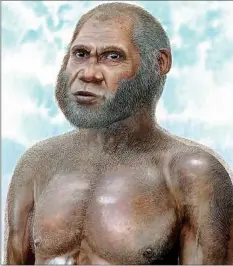  ??  ?? Four mystery cavemen dug up in China could be a new species of humanoid. The fossils belong to a previously unknown Stone Age people