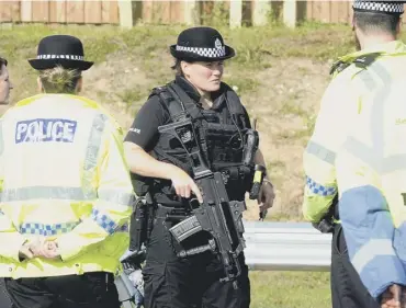  ?? PICTURE; LISA FERGUSON ?? 0 Armed officers have responded to more than 300 road accidents