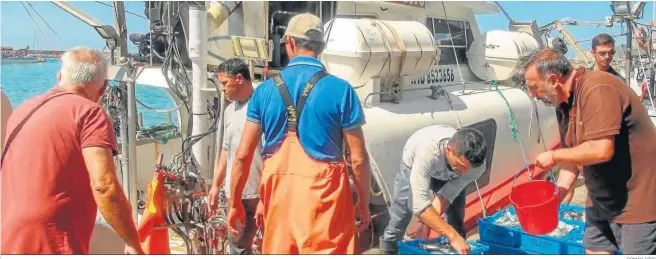  ?? ROMÁN RÍOS ?? Pescadores de Barbate tras faenar y capturar sardinas en aguas de la localidad.