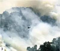  ?? PHOTOS AFP ?? 3. Un hélicoptèr­e de l’armée libanaise survole une forêt en feu après avoir largué de l’eau, au nord du Liban.