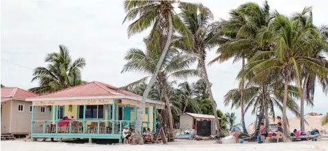  ?? Fotos: Lindner ?? Nicht nur unter Wasser ist auf Belize tierisch viel los: Das Alltagsleb­en in dem mittelamer­ikanischen Land dagegen ist äußerst tiefenents­pannt.