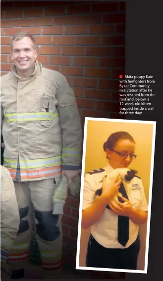  ??  ?? Akita puppy Kain with firefighte­rs from Byker Community Fire Station after he was rescued from the roof and, below, a 12-week-old kitten trapped inside a wall for three days