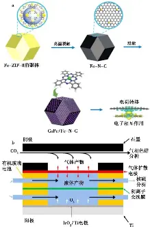 酞菁钴( CoPc)基电极材料在电催化 CO2 还原反应中应用的研究­进展 - PressReader
