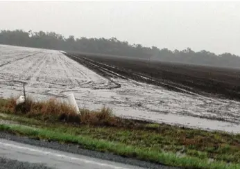  ?? PHOTO: CONTRIBUTE­D ?? SOIL MOISTURE: A paddock inundated with summer rain.