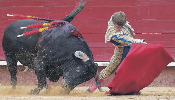  ?? EFE ?? Doblón de Borja Jiménez en el inicio de faena, ayer en la Feria de Fallas