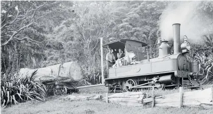  ?? Photo / National Library ?? Locomotive A196 on the North Piha line, c 1917, driven by John Mutu. Inset: Sandra Coney.