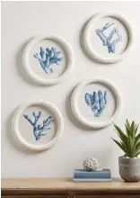  ?? ?? Make the most of the Coastal trend with blue and white tones accented with decorative shell elements like these Four Coral Framed Prints from Cox & Cox