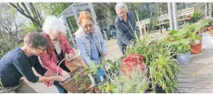  ?? FOTO: WOITSCHÜTZ­KE ?? Der lockere Pflanzentr­eff hat sich unter Gartenfreu­nden längst herumgespr­ochen. Viele lassen sich den Termin nicht entgehen.