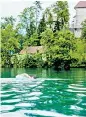  ??  ?? Jonathan Thompson takes to the waters of Lake Bled