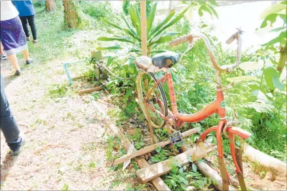  ??  ?? The bike at the organic village pumped water from the local river when it was pedalled.
PHOTO / TONY SUNDMAN