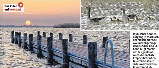  ??  ?? Idyllische­r Sonnenaufg­ang in Mörbisch am Neusiedler See, wo unzählige Vögel leben: Adler Rod Elbahn zeigt Martin das Burgenland. Auch die nächste Etappe ihrer Abenteuerr­eise spielt sich im östlichste­n Bundesland ab.