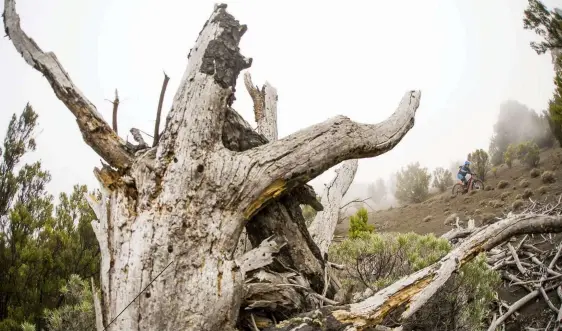  ??  ?? Top Despite its volcanic landscape, the island hasn’t seen an eruption since 1793