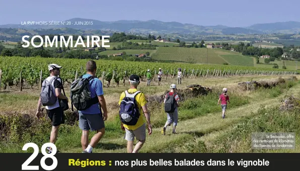  ??  ?? Le Beaujolais offre des centaines de kilomètres de chemins de randonnée.
D. R.