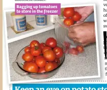  ??  ?? Bagging up tomatoes to store in the freezer