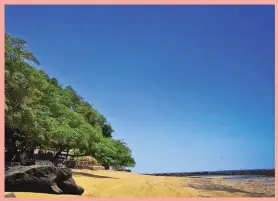  ??  ?? Las playas salvadoreñ­as son de las más buscadas para practicar surf.