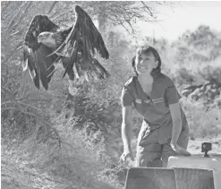  ?? GEORGE ANDREJKO/ARIZONA GAME AND FISH ?? Volunteer veterinari­an Dr. Stephanie Lamb opens the cage to release the 3-year-old eagle back into the wild.