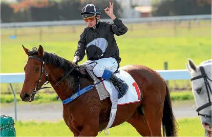  ?? SCOTT HAMMOND/FAIRFAX NZ. ?? Favourite Scapolo is on the drift in early betting for the Manawatu Challenge Stakes.