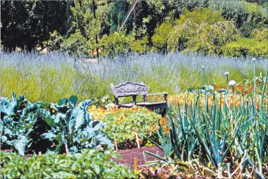  ?? Maureen Gilmer ?? Large open vegetable gardens can be living spaces, too. Tribune News Service