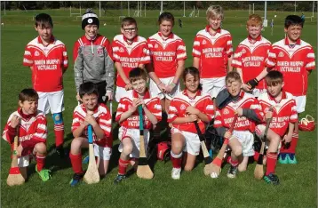  ??  ?? The Tinahely hurlers who lined out in Ballinakil­l on Saturday.