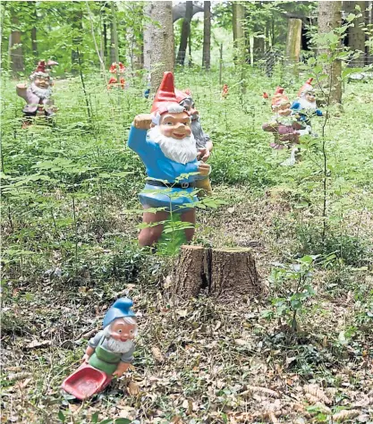  ?? Clemens Fabry ?? Fast wie ein Wimmelbild: die Gartenzwer­ge des Hubhofs, die sich an vielen Stellen im Wald finden.