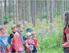  ?? FOTO: WIEDENHÖFE­R ?? Beim Ferienprog­ramm des Gesangvere­ins Dankoltswe­iler ging es in den Wald. „Expedition­sleiterin“Regine Zeller legte bei dem Streifzug öfters einen Stopp ein, um ihren Schützling­en Wissenswer­tes über die Natur zu erzählen.